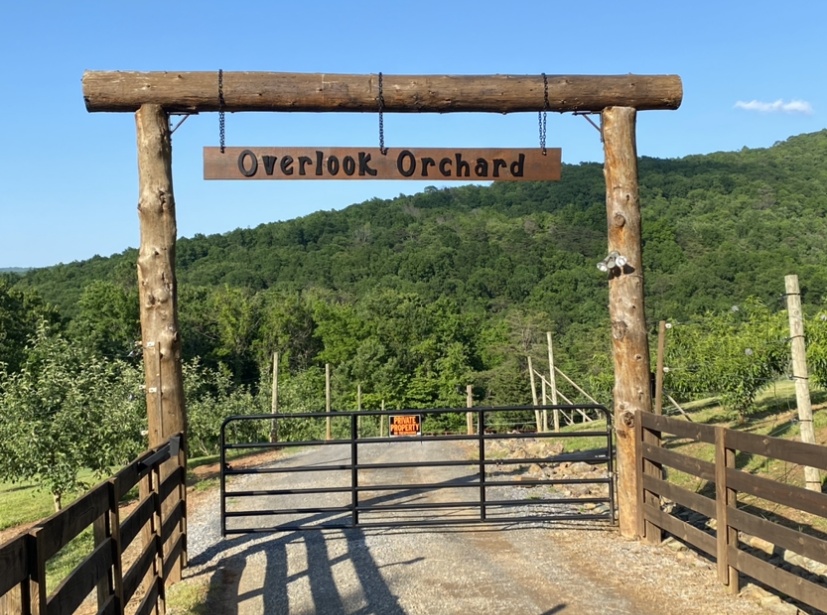 Goldies Orchard